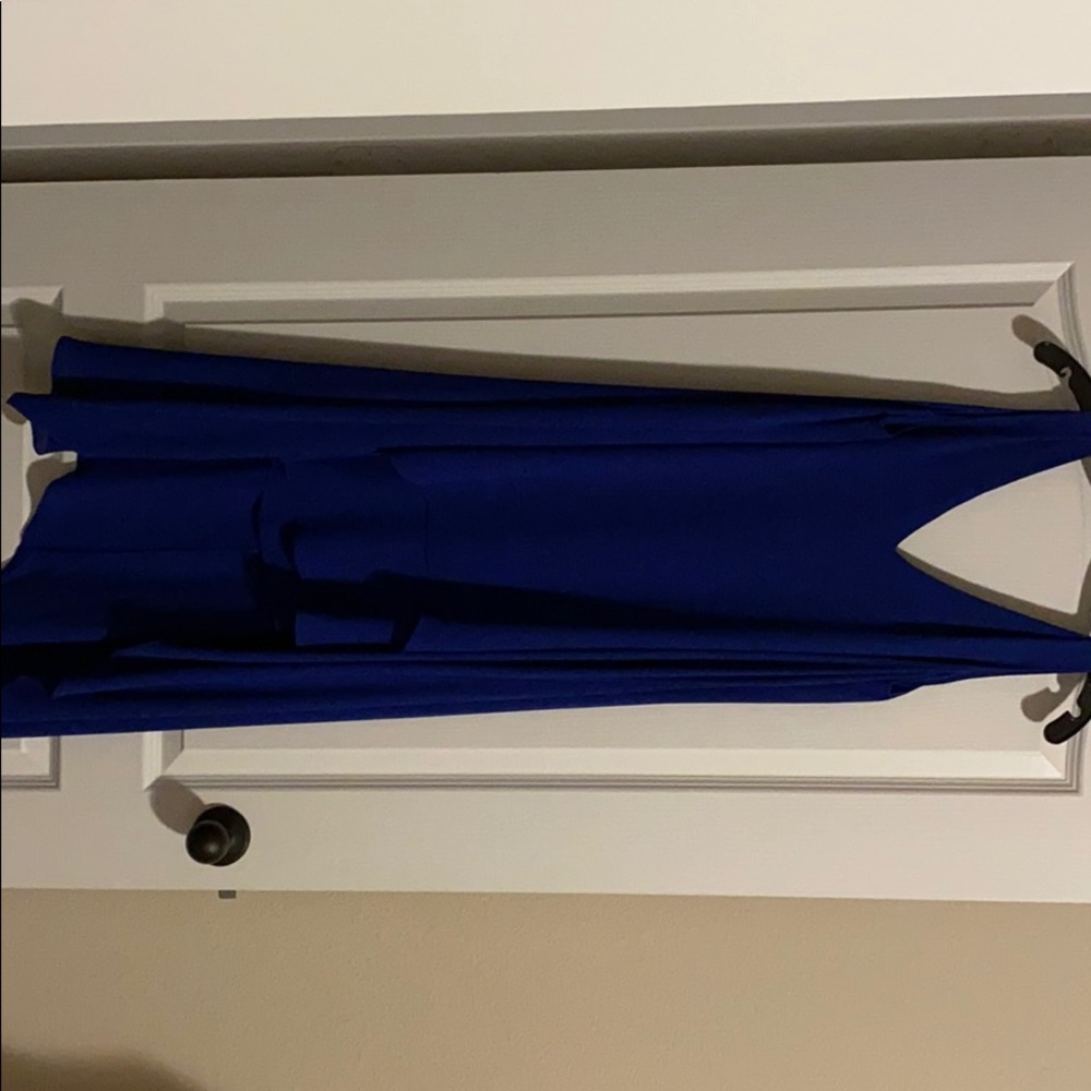 Bcbgmaxazria sleeveless high low gown